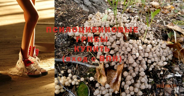 PSILOCYBIN Баксан