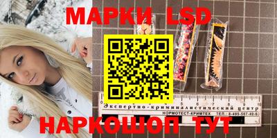 стаф Будённовск